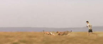 Skechers y su desafortunado anuncio triplicado