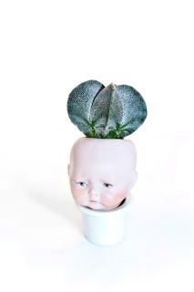 Feeas: Tumores verdes