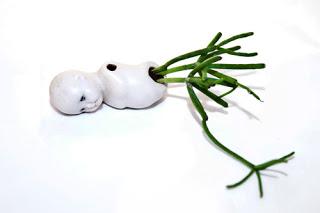 Feeas: Tumores verdes