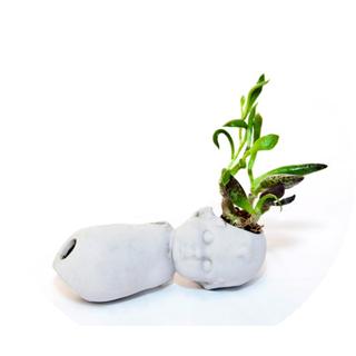 Feeas: Tumores verdes