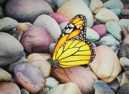 Que es una Mariposa?