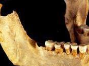 extinción neardentales podría reciente cómo creía