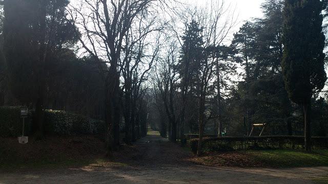 Bas Jan Ader: Tra due mondi en Villa delle Rose