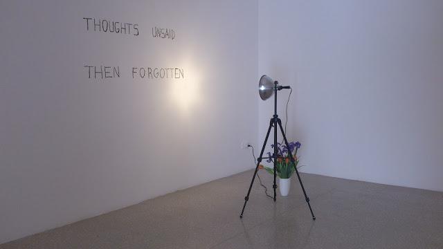 Bas Jan Ader: Tra due mondi en Villa delle Rose