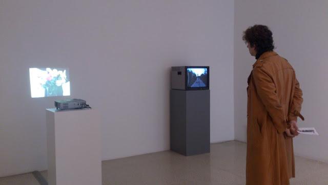 Bas Jan Ader: Tra due mondi en Villa delle Rose