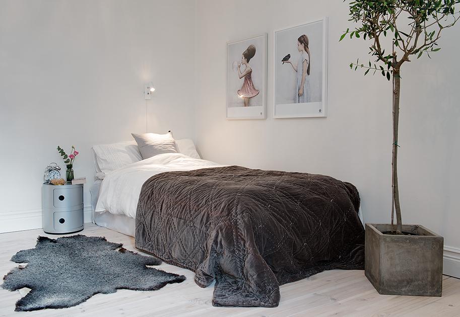 Salón & dormitorio todo en uno