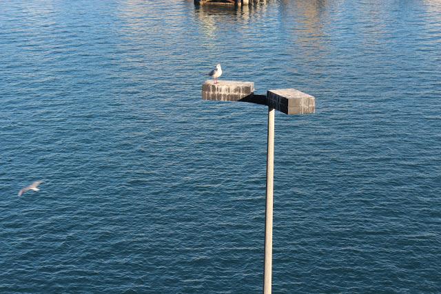 Mirando al Mar Restaurante