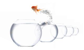 DESMONTANDO EL TALENTO