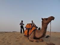 Día 5. Disfrutando del atardecer en el desierto de Jaisalmer!!