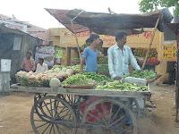 Día 4. Haciendo vida de maharajá en Bikaner!!