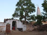 Día 3. Empezamos la ruta por India, nuestra primera parada Hudeel!