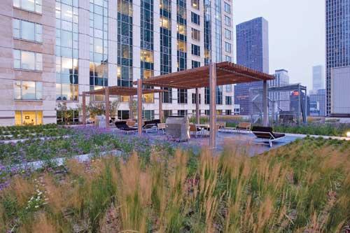 Techo verde en un edificio de Michigan Avenue