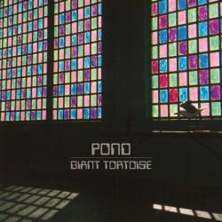 Escucha y descarga el nuevo tema de Pond: Giant Tortoise