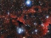 alas Nebulosa Gaviota