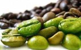 cafe verde 4 Café verde, un excelente antioxidante y una ayuda para adelgazar   