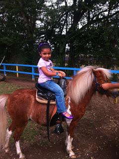 ¿A tu niño le gustan los caballos?