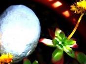 Viviendo desde interior… (iii)