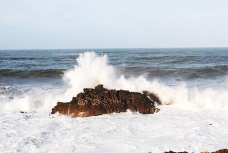 Black and White. Black and White.