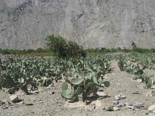 LUNAHUANÁ: EL PUEBLO DONDE NACIÓ LA AVENTURA
