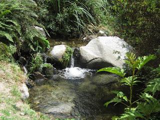 SAN JERÓNIMO DE SURCO: EL PUEBLO DE LA TORRE