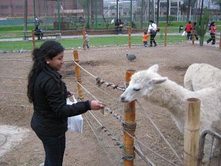 FIESTAS PATRIAS 2010: NO SIEMPRE SE PUEDE VIAJAR