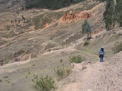 HUANCAYO I: LA TORRE Y LA LIBERTAD