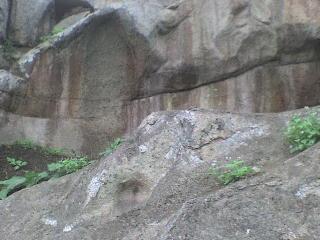 LAS LOMAS DE LÚCUMO: LURÍN, TE QUIERO VERDE