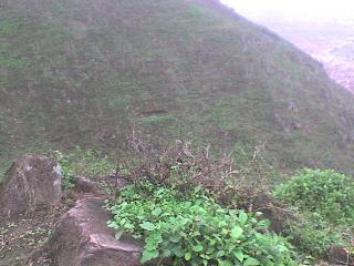 LAS LOMAS DE LÚCUMO: LURÍN, TE QUIERO VERDE