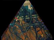 Cheatahs Swan Coared (2012)