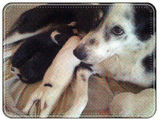 Reto 30 días, 30 libros. Día 4. Un libro que te recuerde a alguien.