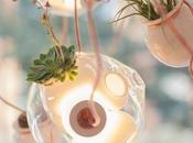 Colección perfecta unión entre iluminación plantas