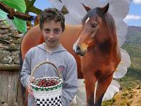 Excursiones escolares al Valle del Jerte con descuento del 10%