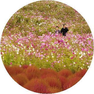 El parque de las flores