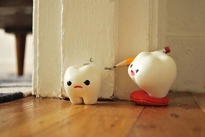 my milk toof 04 Interesting photos about the life of milk teeth