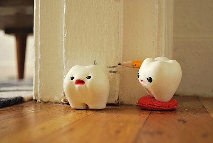 my milk toof 05 Interesting photos about the life of milk teeth