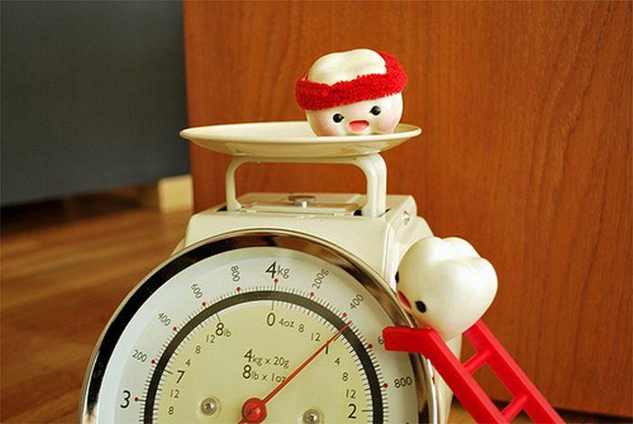 my milk toof 47 Interesting photos about the life of milk teeth