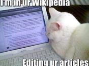 Twitter agrega LOLCATZ como nuevo idioma para usuarios diviertan rato