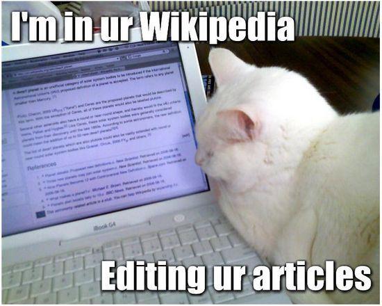 lolcat-wikipedia