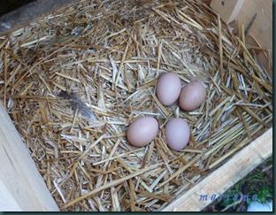 recetas febrero13 070 copia