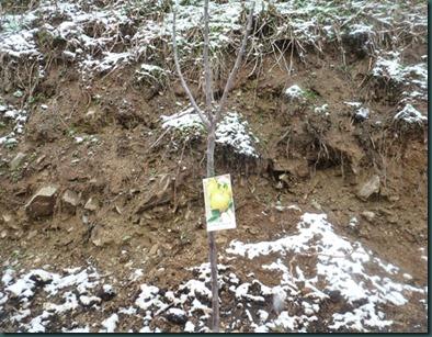 recetas febrero13 076 copia