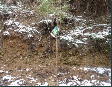 recetas febrero13 077 copia