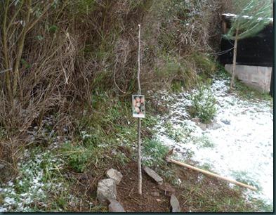 recetas febrero13 079 copia