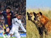 Polémica fútbol español. Comparan Real Madrid hienas