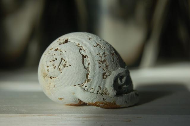 La simplicidad como alternativa