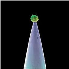 Peter Gabriel New blood (2011)