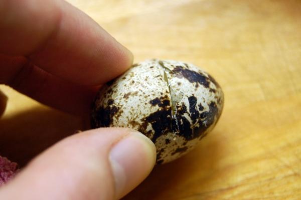 Calabacines rellenos de huevo de codorniz y cómo hacer facilmente huevos poché con papel film transparente