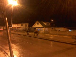 ONEMI DECLARÓ ALERTA TEMPRANA PREVENTIVA POR PRECIPITACIONES MODERADAS