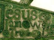 versículo Biblia escrito miles sauces