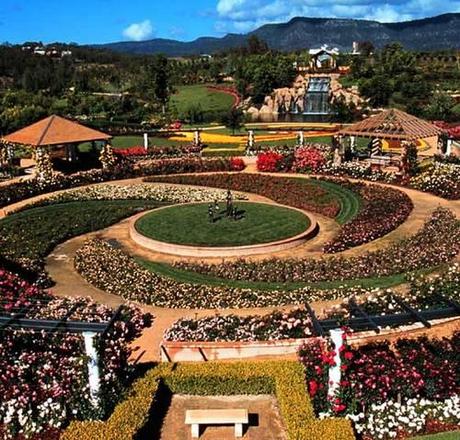 hunter-valley-gardens-rosas jardín-de-las-rosas