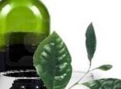 Extractos verde vino tinto ¿contra alzhéimer?